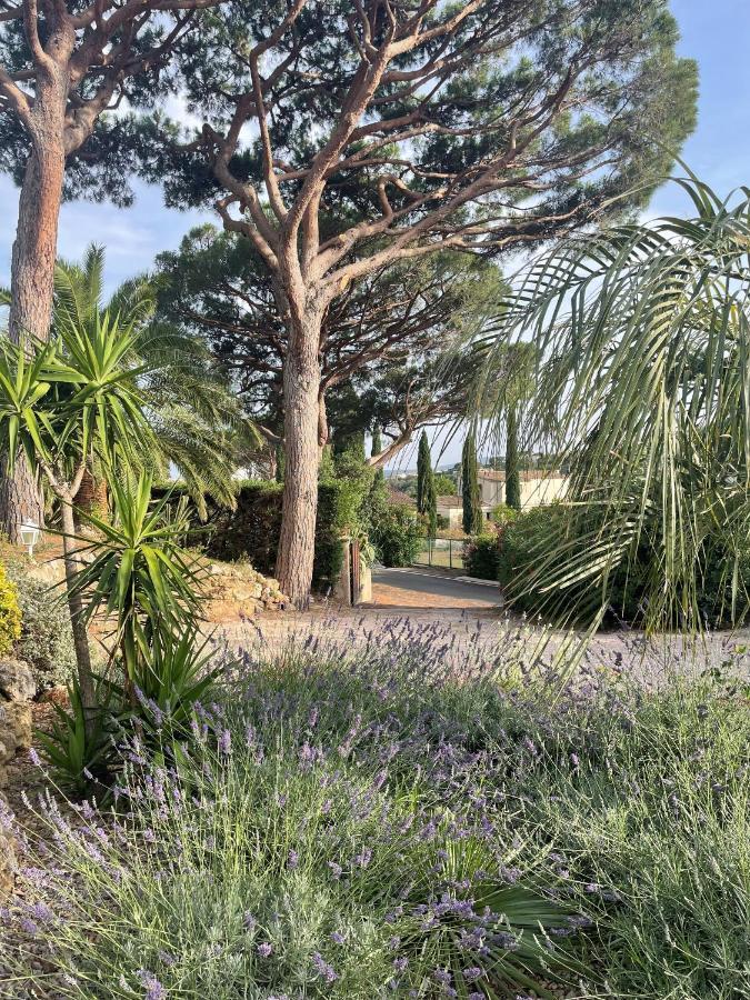 Paradis Provencal Bed and Breakfast Sainte-Maxime Exteriör bild